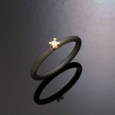 Tantalring – TA7301