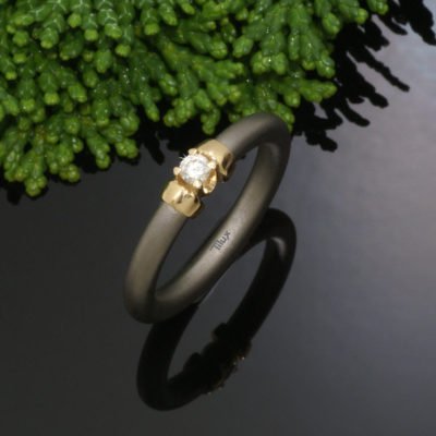 Tilux Titan | Titanring – Ti2203-10