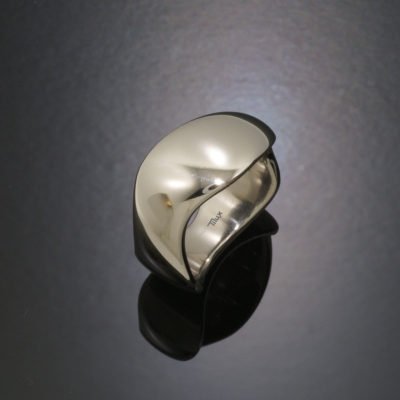 Premium | Titanring – Wave T5020